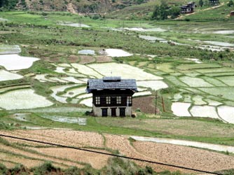 Bhutan Farm