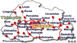 Gogona