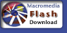 Flash Player Download