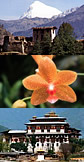 Bhutan