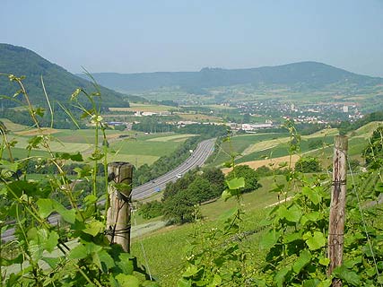 Hornussen