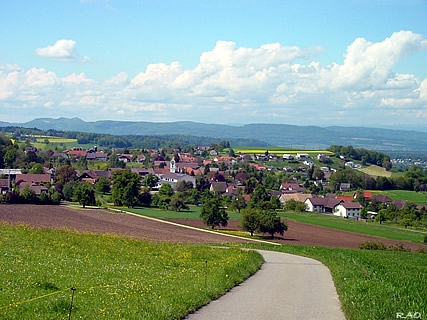 Leutwil