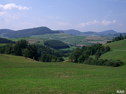 Hagenfirst