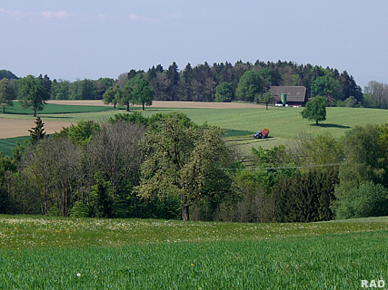 Isenbergschwil