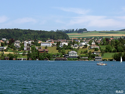 Meisterschwanden Delphin