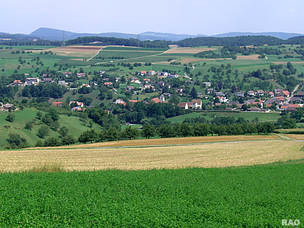 Woelflinswil