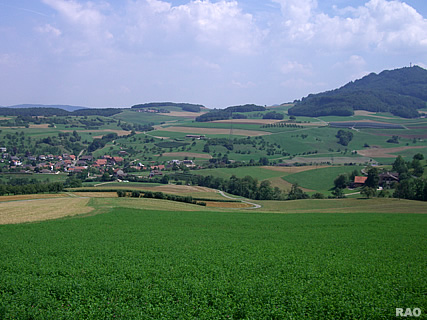 Woelflinswil