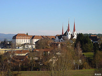 Muri