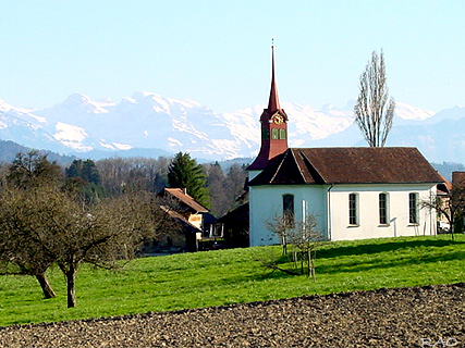 Fenkrieden