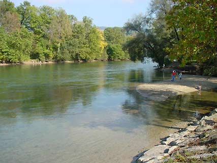 Fischbach-Goeslikon