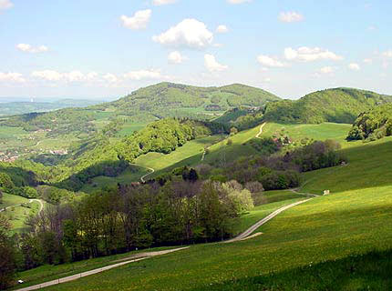 Salhoehe