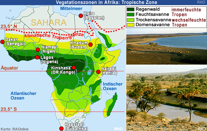 RAOnline EDU: Klima Afrika - Vegetationszonen - Regenwald