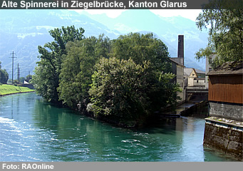 Im Jahr 2006 richteten Überschwemmungen, Murgänge, Rutschungen und Felsbewegungen in der Schweiz insgesamt rund 75 Millionen Franken Schäden an. Verglichen mit der durchschnittlichen Schadensumme der Jahre 1972 bis 2005, die teuerungsbereinigt etwa 350 