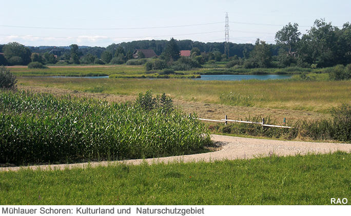 Mittelland