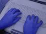 Schweizer Schulen online