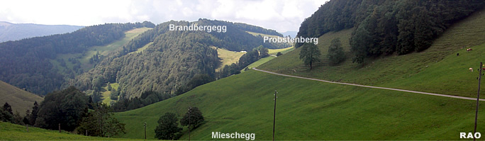 Scheltenpass - Schoenenberg - Mieschegg - Scheltenpass