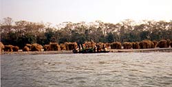 Chitwan riverbank