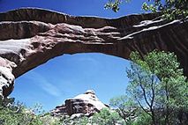 Natural Bridge
