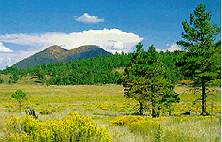 Sunset Crater
